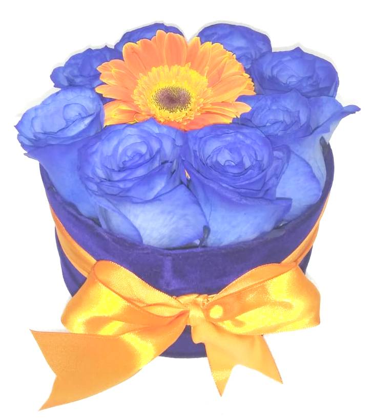 Caja Redonda 8 Rosas Azules y 1 Gerbera